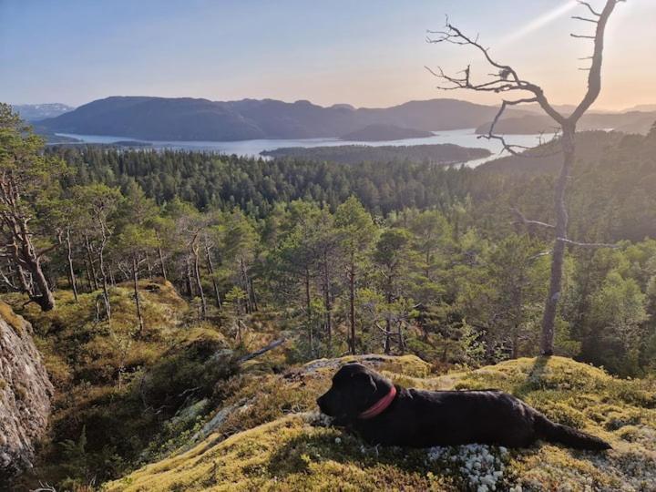 Gjestehus Pa Bondegard, Med Batutleie Namsos Exterior foto