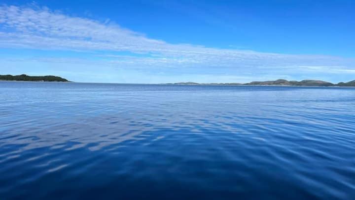 Gjestehus Pa Bondegard, Med Batutleie Namsos Exterior foto