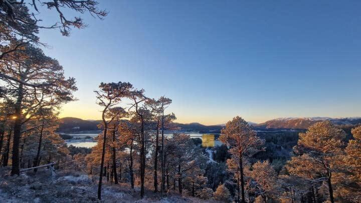 Gjestehus Pa Bondegard, Med Batutleie Namsos Exterior foto